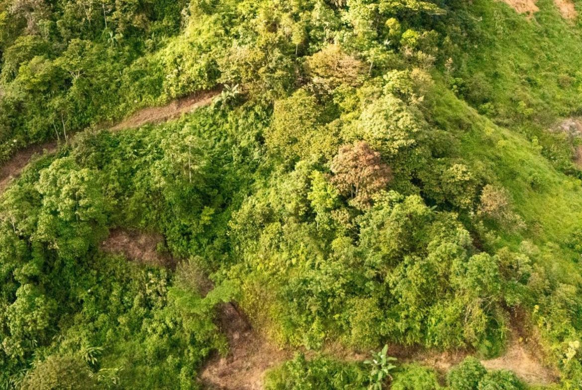 PROPERTY NEAR A WATERFALL IN SAN LUIS – 7.24 ACRES