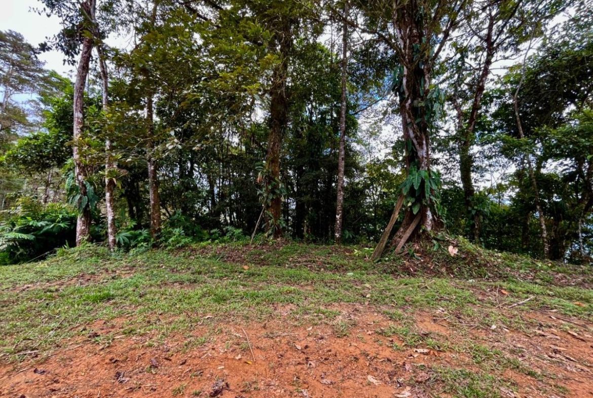 PROPERTY NEAR A WATERFALL IN SAN LUIS – 7.24 ACRES