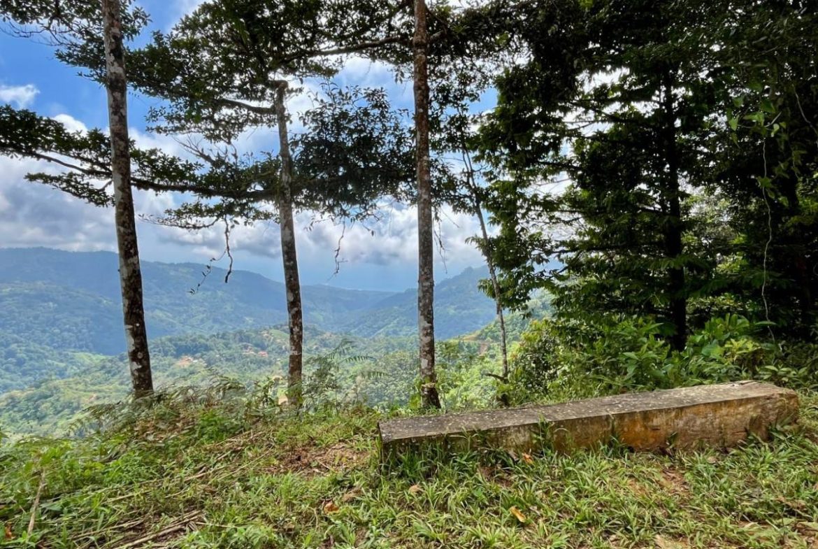 PROPERTY NEAR A WATERFALL IN SAN LUIS – 7.24 ACRES
