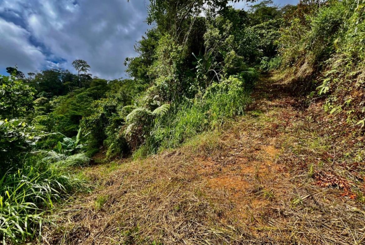 PROPERTY NEAR A WATERFALL IN SAN LUIS – 7.24 ACRES