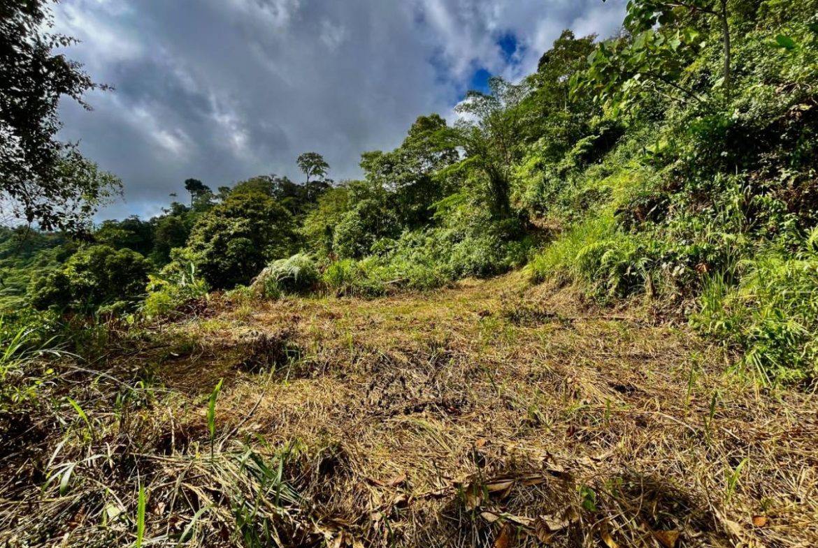 PROPERTY NEAR A WATERFALL IN SAN LUIS – 7.24 ACRES