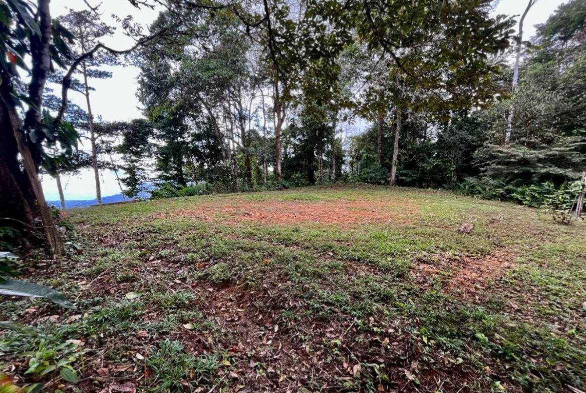 PROPERTY NEAR A WATERFALL IN SAN LUIS – 7.24 ACRES