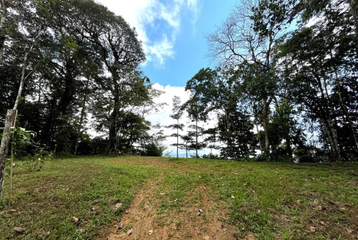 PROPERTY NEAR A WATERFALL IN SAN LUIS – 7.24 ACRES