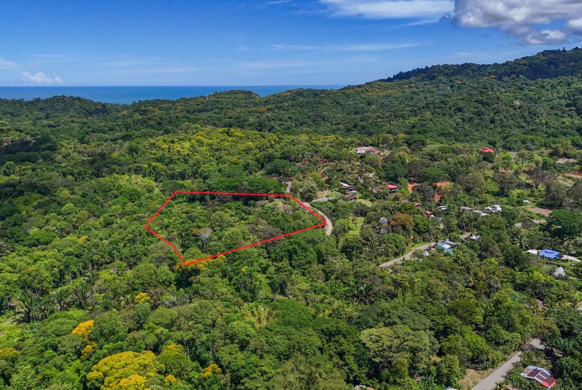 PROPERTY WITH MOUNTAIN VIEW, IN OJOCHAL – 3.92 ACRES