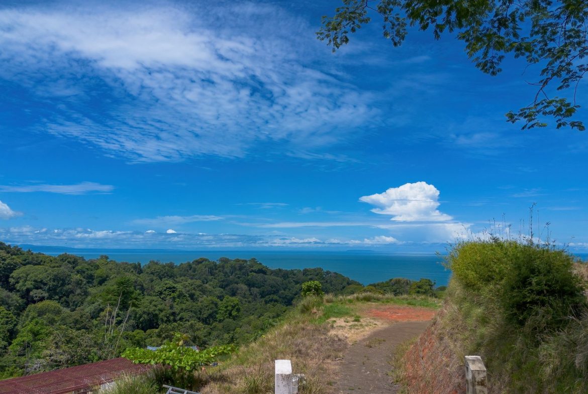 PROPERTY WITH TWO SALES OPTIONS, IN PIÑUELA – 0.7 ACRES
