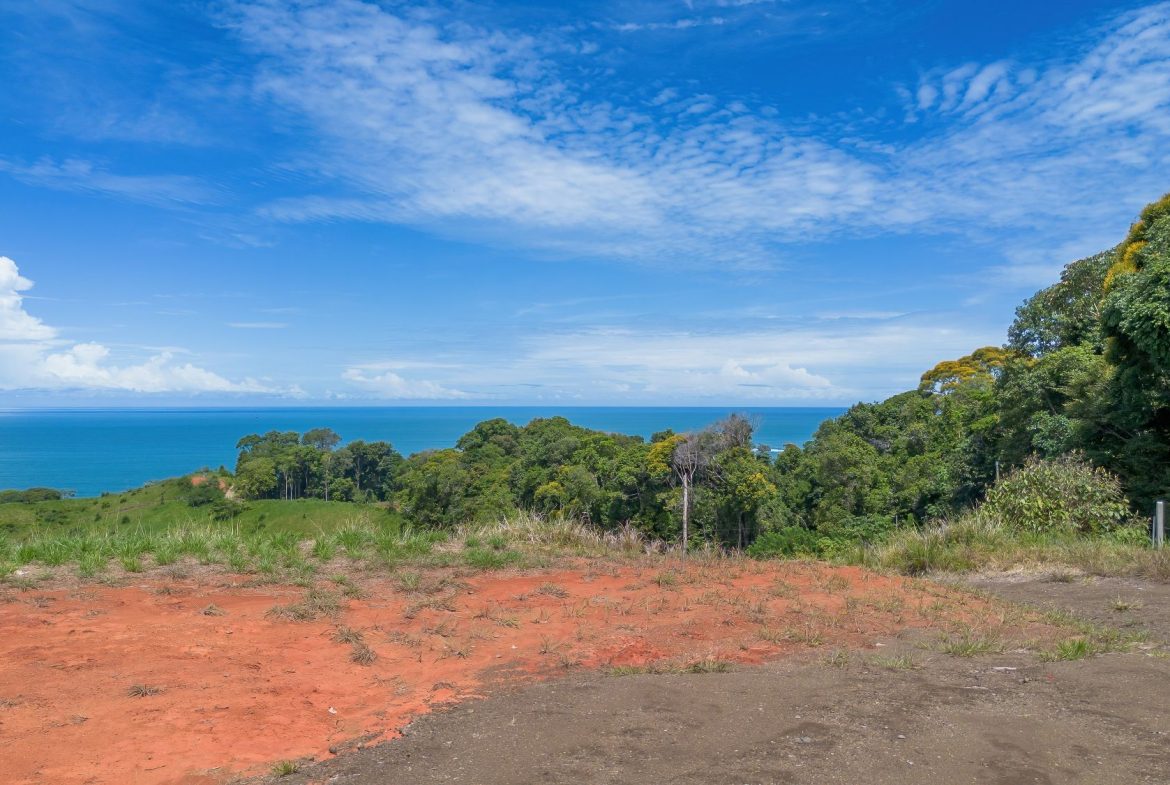 PROPERTY WITH TWO SALES OPTIONS, IN PIÑUELA – 0.7 ACRES