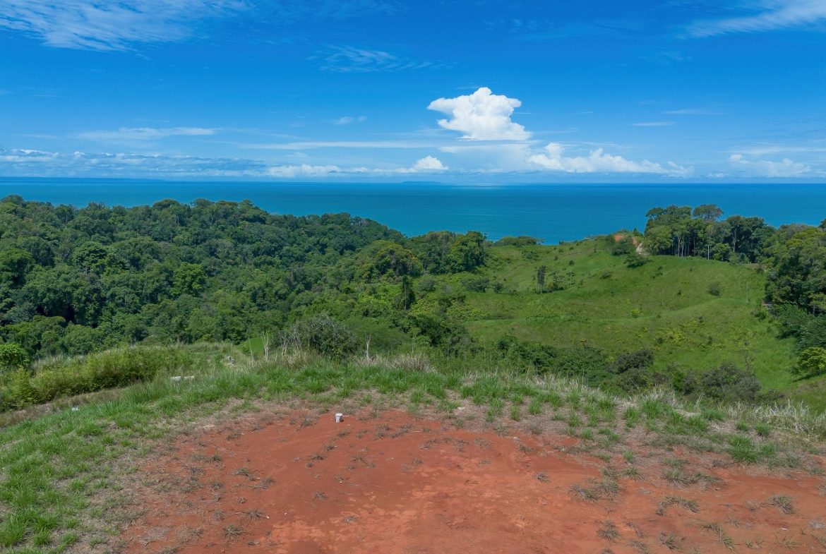 PROPERTY WITH TWO SALES OPTIONS, IN PIÑUELA – 0.7 ACRES