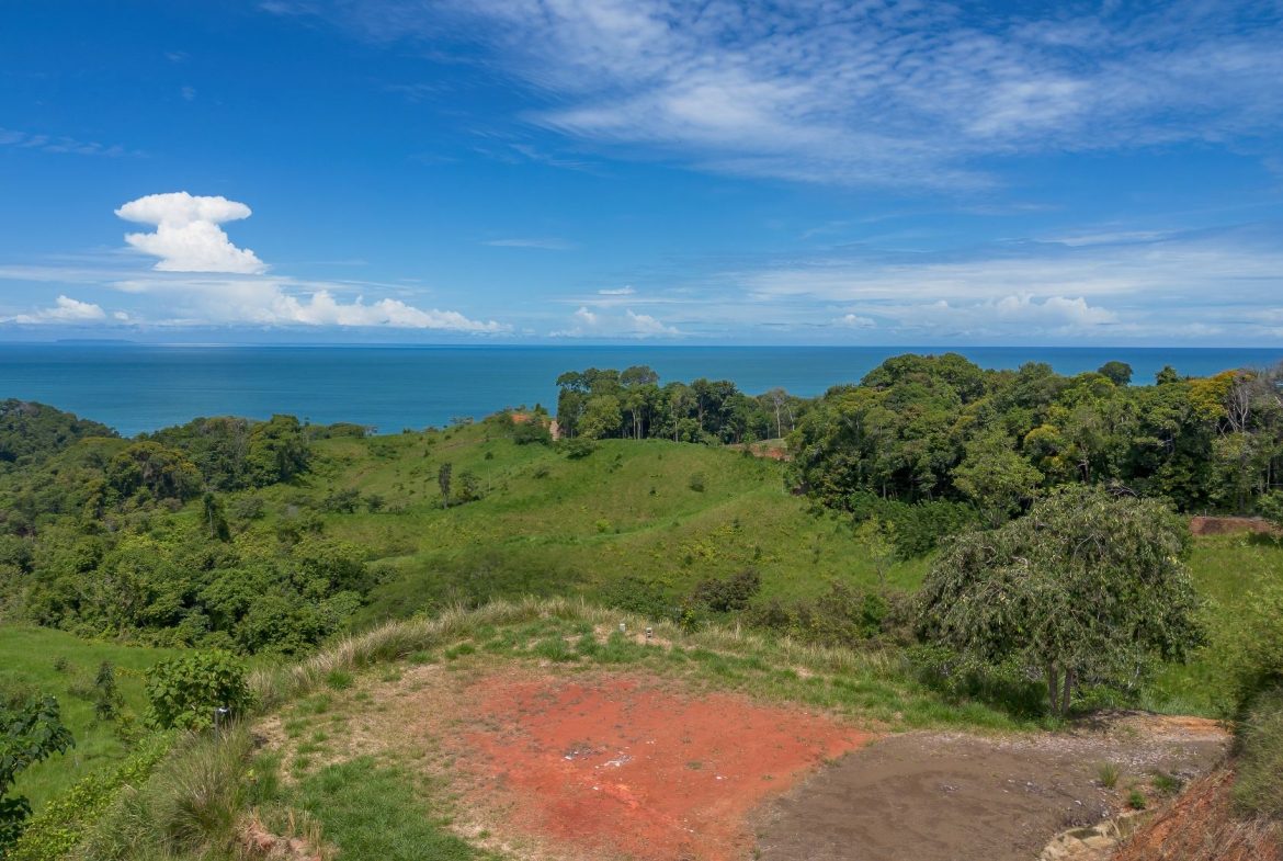 PROPERTY WITH TWO SALES OPTIONS, IN PIÑUELA – 0.7 ACRES
