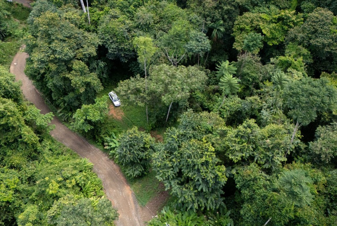 JUNGLE PROPERTY IN UVITA – 0.7 ACRES