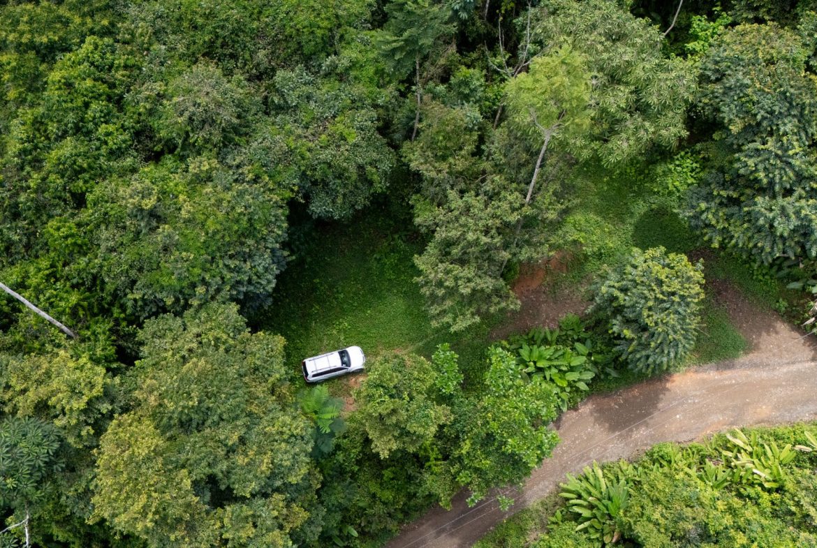 JUNGLE PROPERTY IN UVITA – 0.7 ACRES