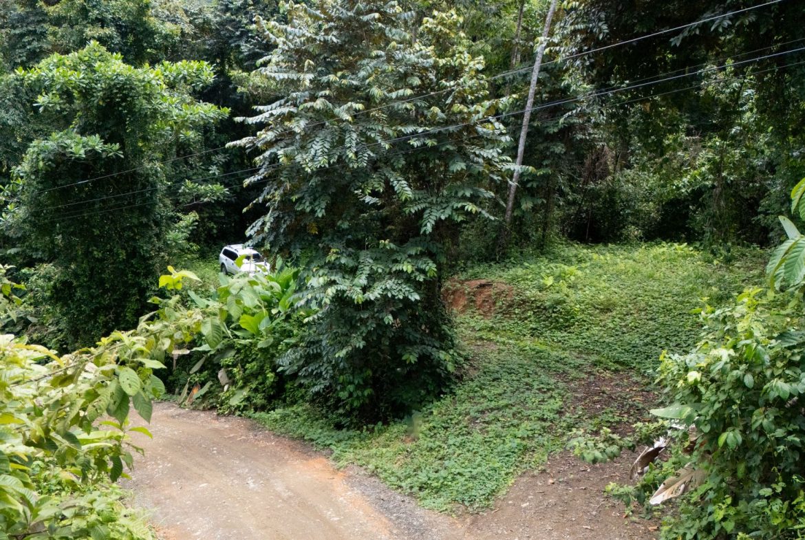 JUNGLE PROPERTY IN UVITA – 0.7 ACRES