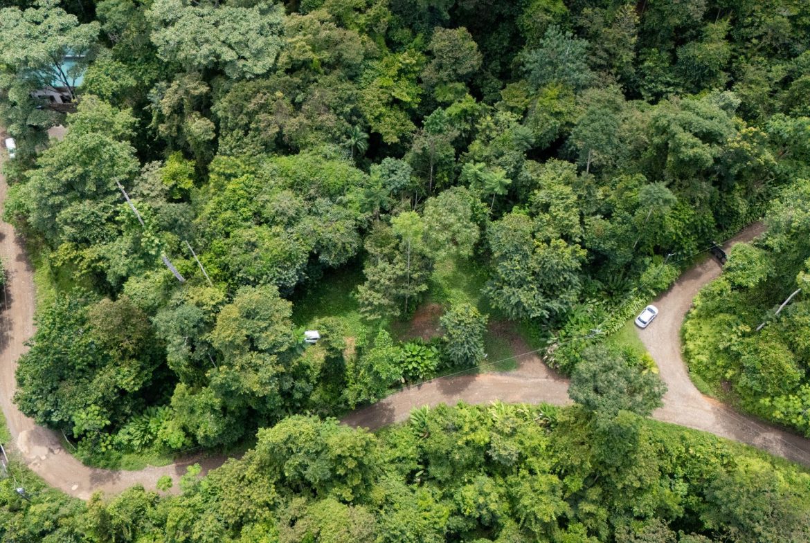 JUNGLE PROPERTY IN UVITA – 0.7 ACRES