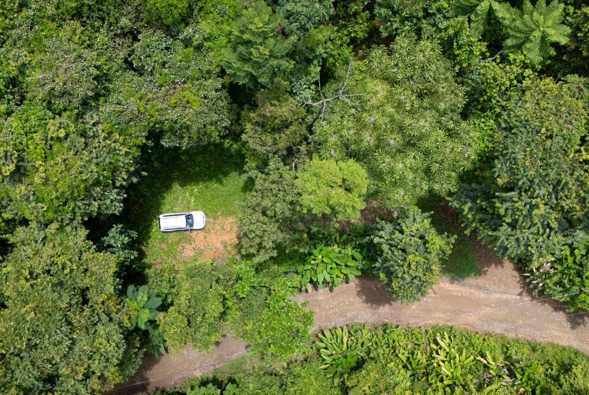 JUNGLE PROPERTY IN UVITA – 0.7 ACRES
