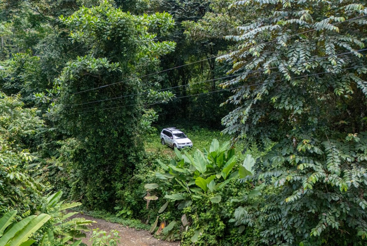 JUNGLE PROPERTY IN UVITA – 0.7 ACRES