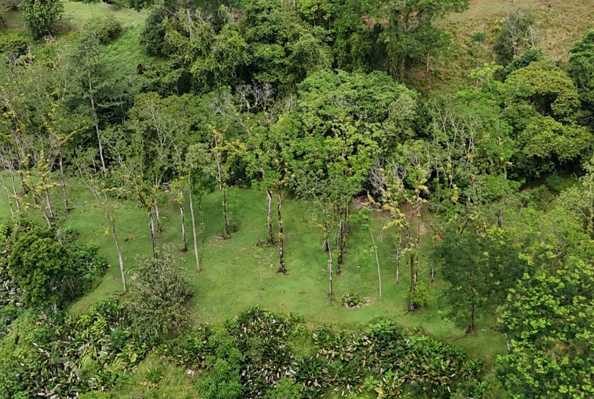 AMAZING PROPERTY WITH A WATERFALL, IN DOS BOCAS HATILLO – 344 ACRES