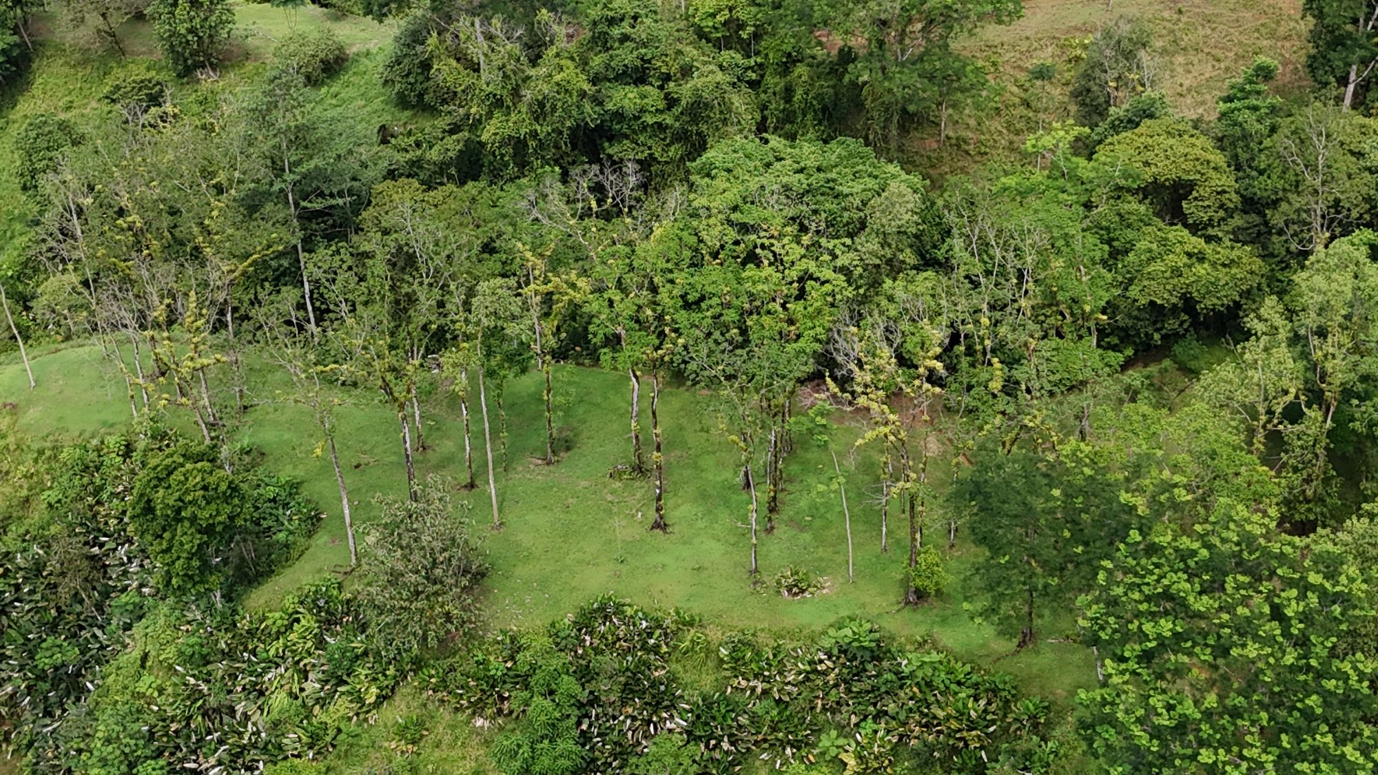 DJI_20250524103906_0098_D