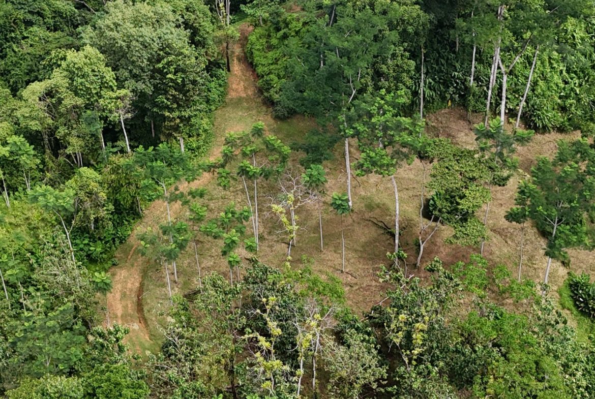 AMAZING PROPERTY WITH A WATERFALL, IN DOS BOCAS HATILLO – 344 ACRES