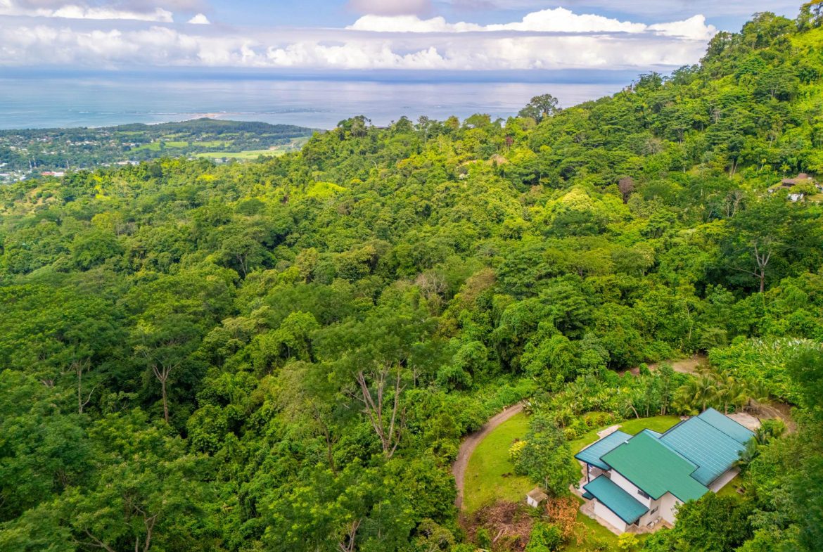 LUXURY PROPERTY WITH MOUNTAIN VIEW – 10 ACRES, Uvita, Costa Rica — photo 3