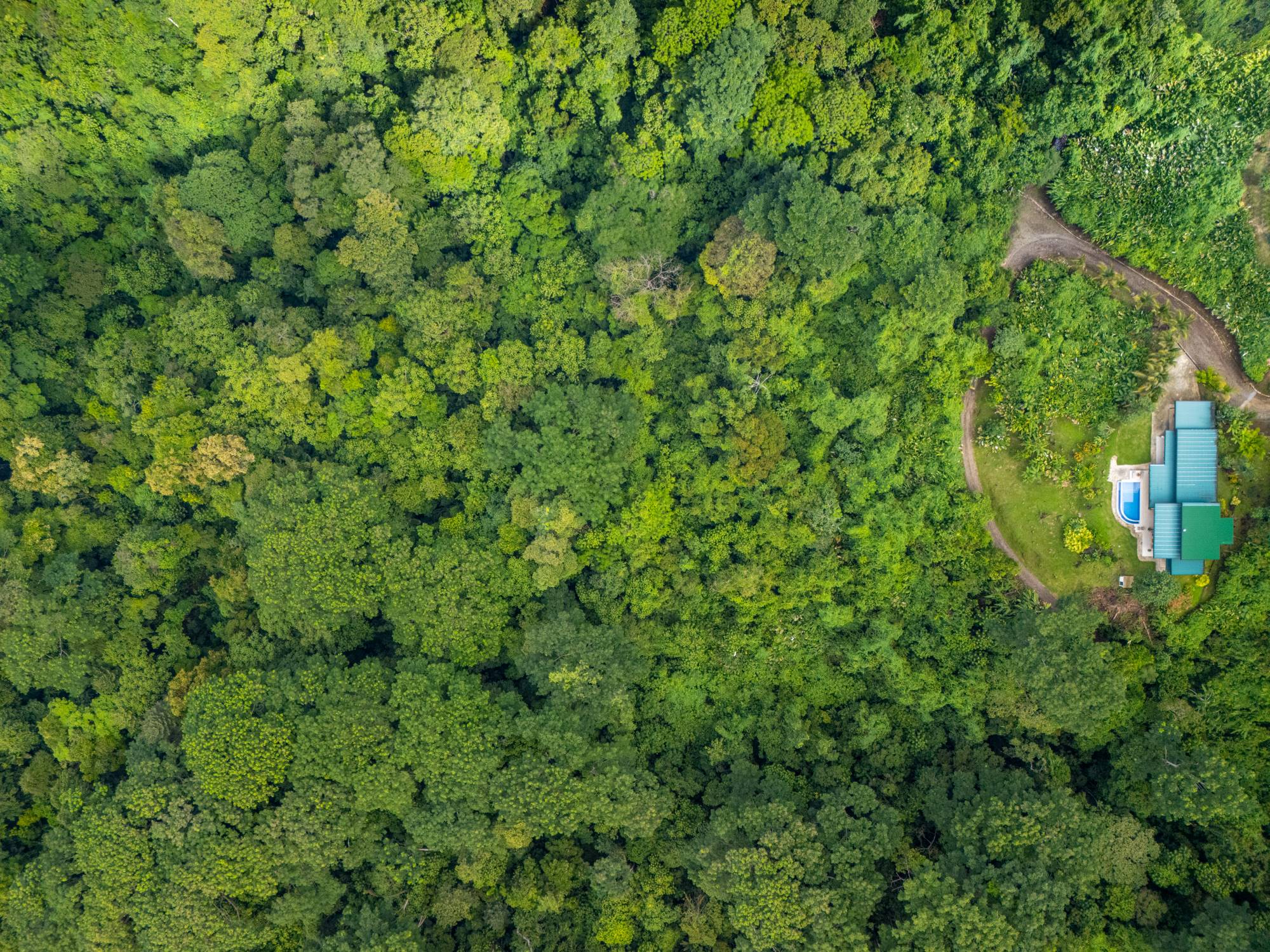 DJI_20250529091103_0062_D