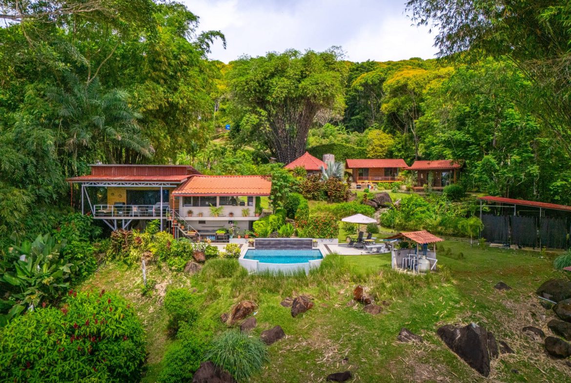PROPERTY WITH TWO VILLAS, IN PUNTA DE MIRA – 2.5 ACRES, Uvita, Costa Rica — photo 1