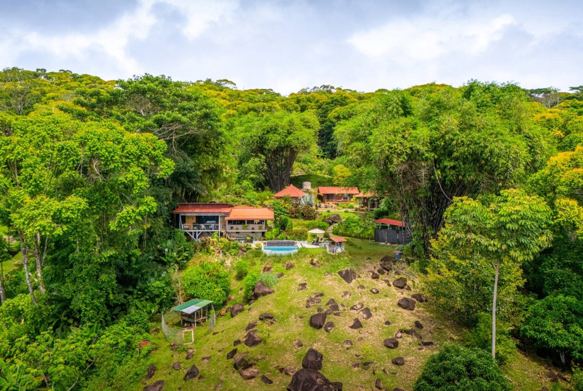 PROPERTY WITH TWO VILLAS, IN PUNTA DE MIRA – 2.5 ACRES, Uvita, Costa Rica — photo 2