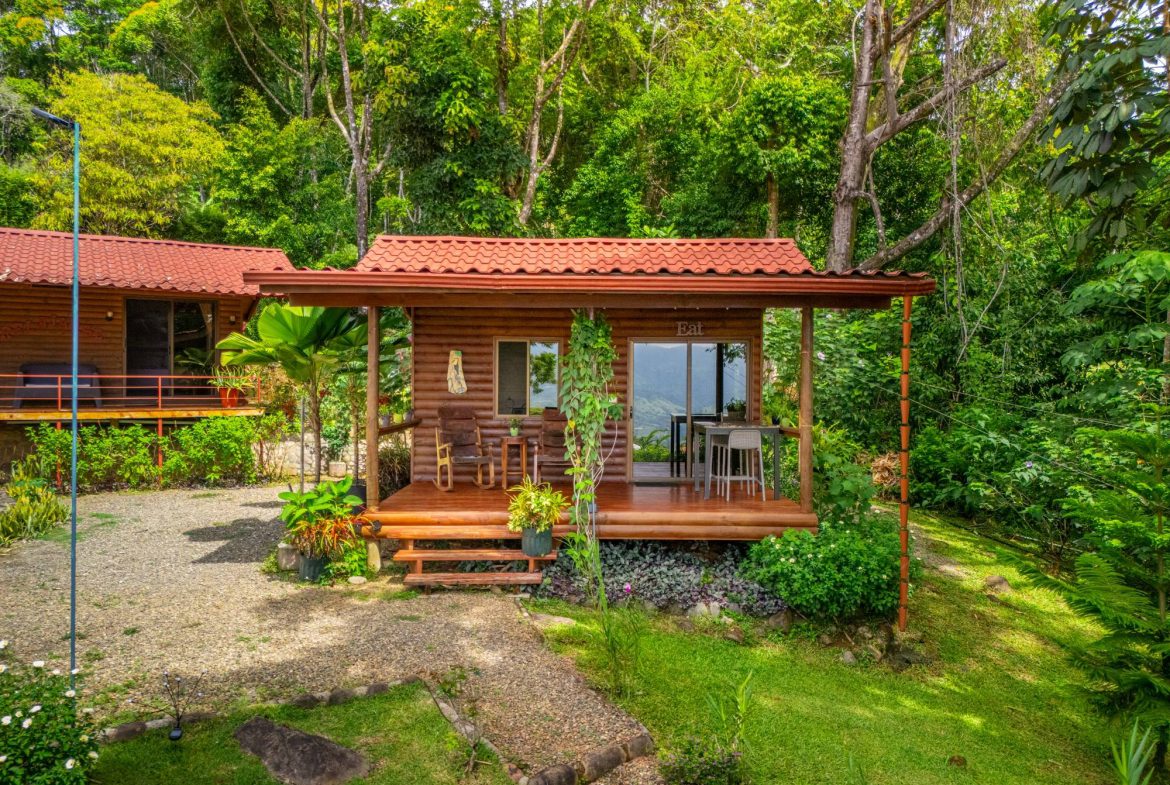PROPERTY WITH TWO VILLAS, IN PUNTA DE MIRA – 2.5 ACRES, Uvita, Costa Rica — photo 4