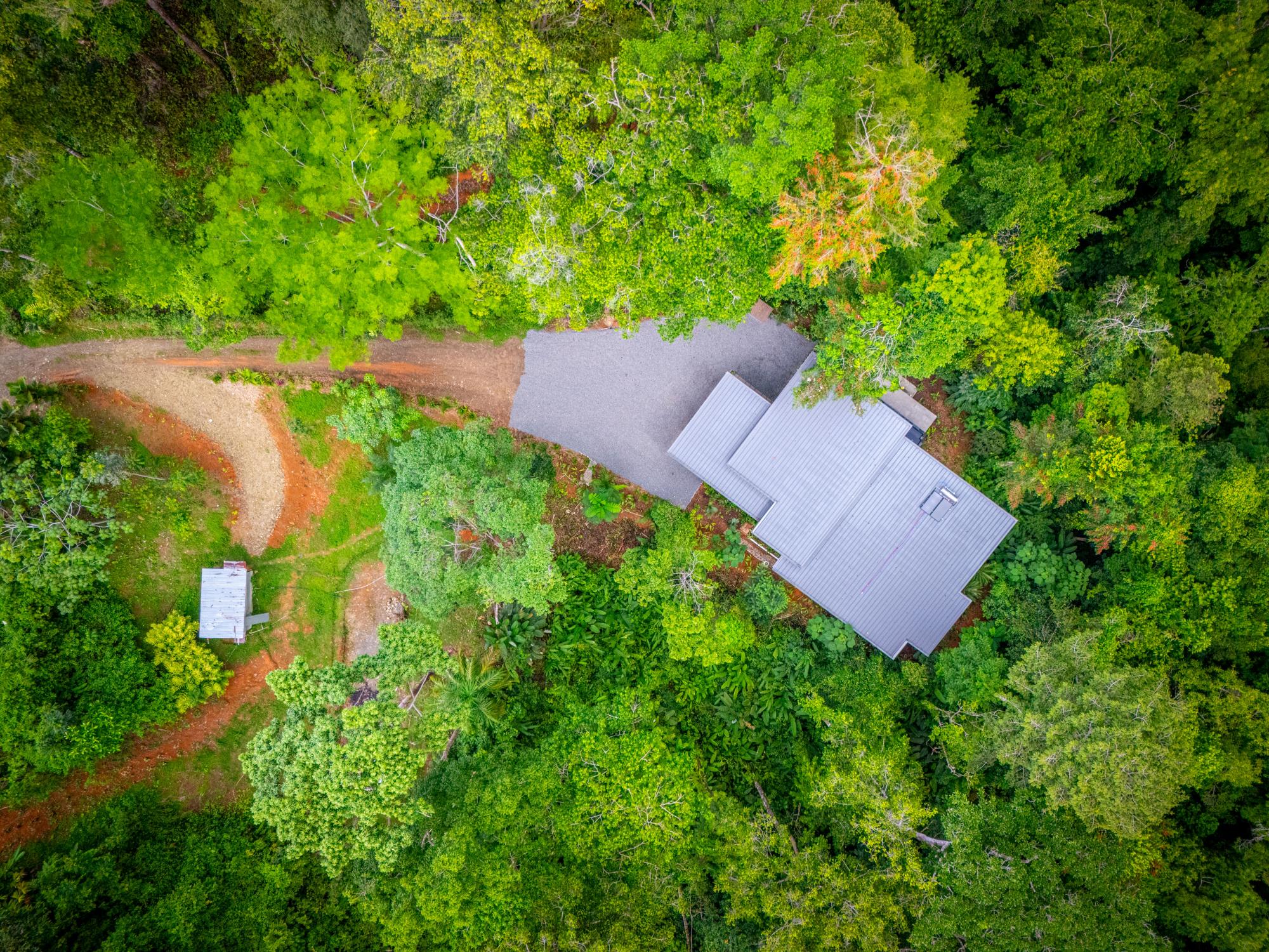 DJI_20250612095832_0006_D