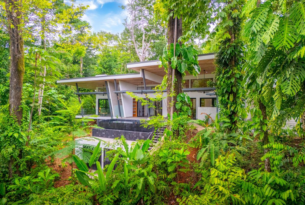 JUNGLE PROPERTY IN UVITA – 3.27 ACRES, Uvita, Costa Rica — photo 6