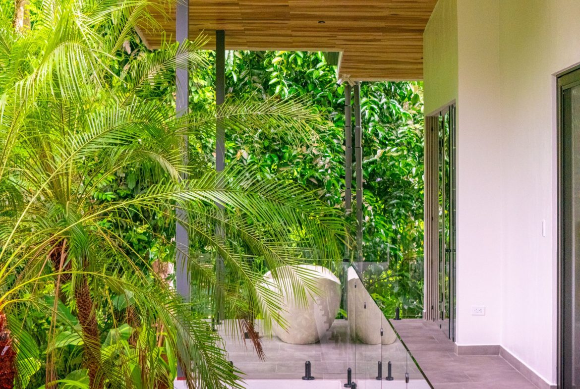 JUNGLE PROPERTY IN UVITA – 3.27 ACRES