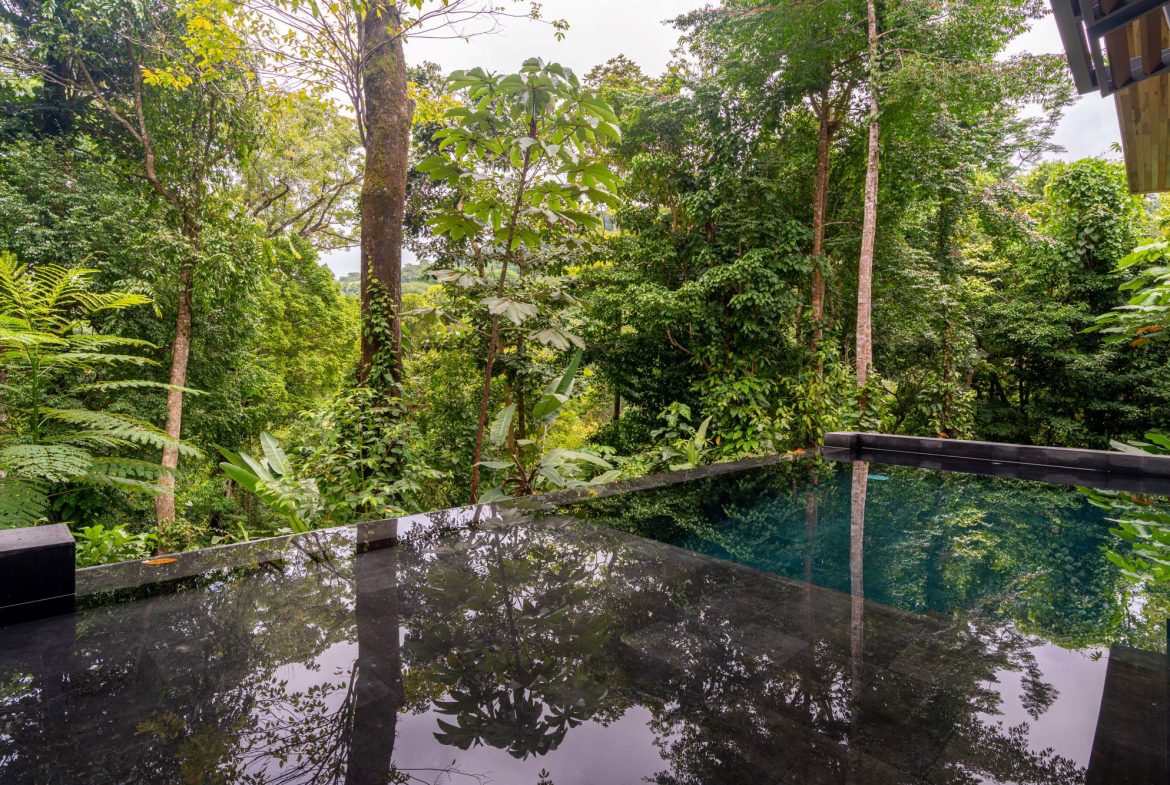 JUNGLE PROPERTY IN UVITA – 3.27 ACRES