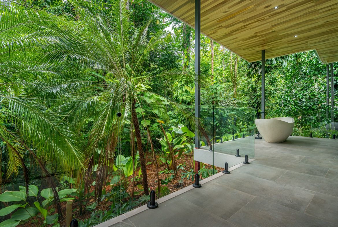 JUNGLE PROPERTY IN UVITA – 3.27 ACRES