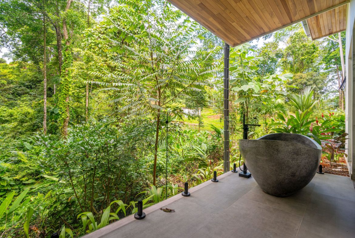 JUNGLE PROPERTY IN UVITA – 3.27 ACRES