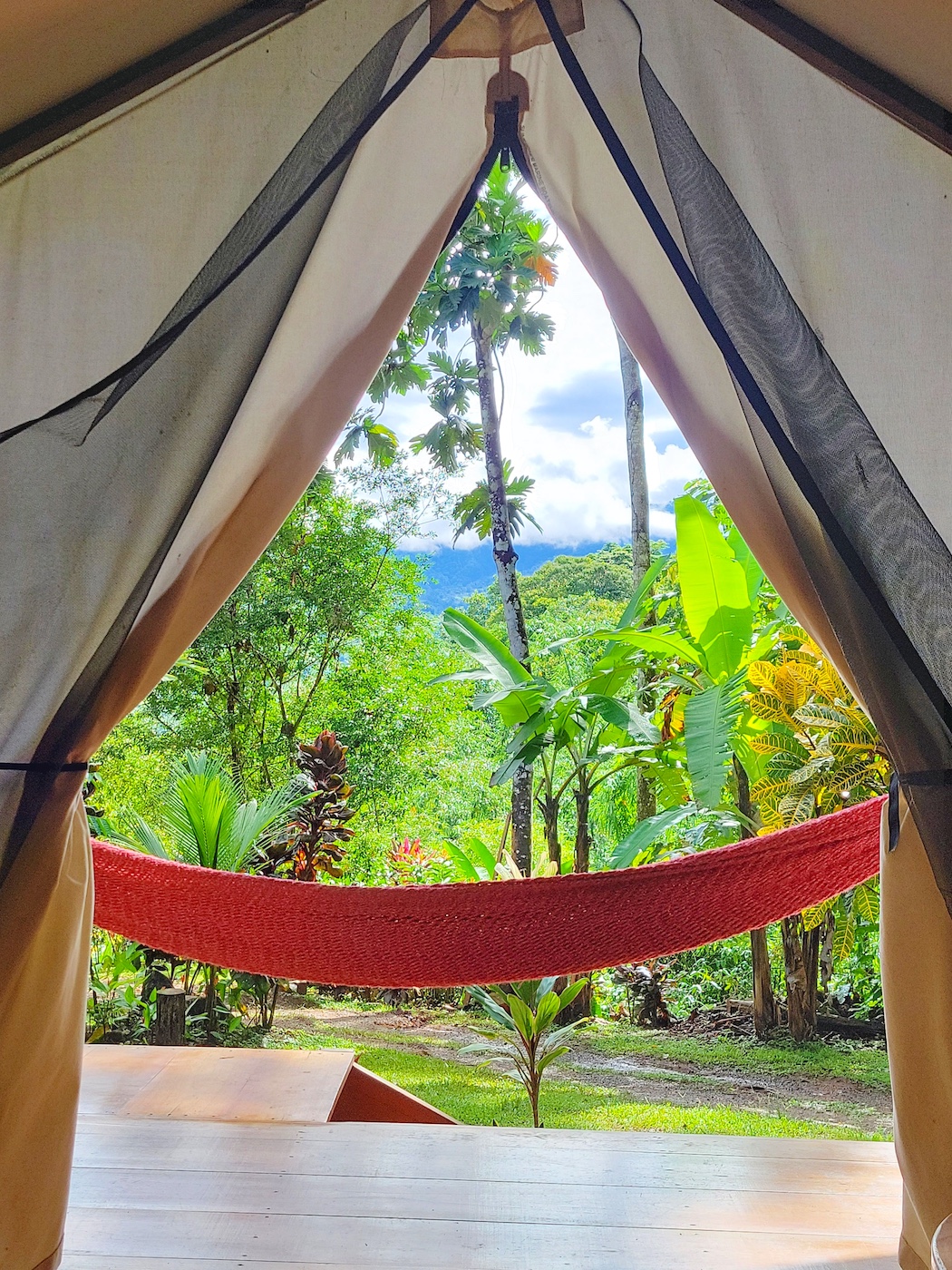 Glamping_Lora & Tucan_5