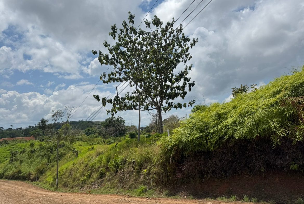 PROPERTY WITH MOUNTAIN VIEW, IN CHONTALES – 2.5 ACRES