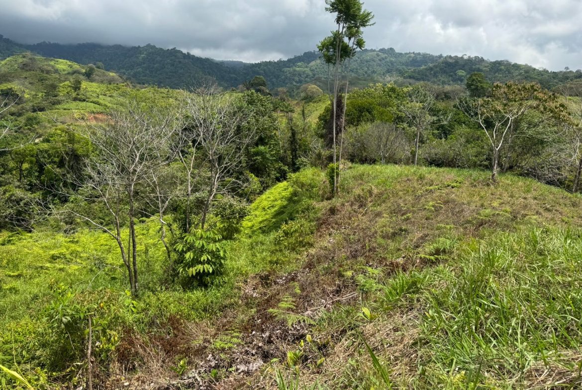 PROPERTY WITH MOUNTAIN VIEW, IN CHONTALES – 2.5 ACRES