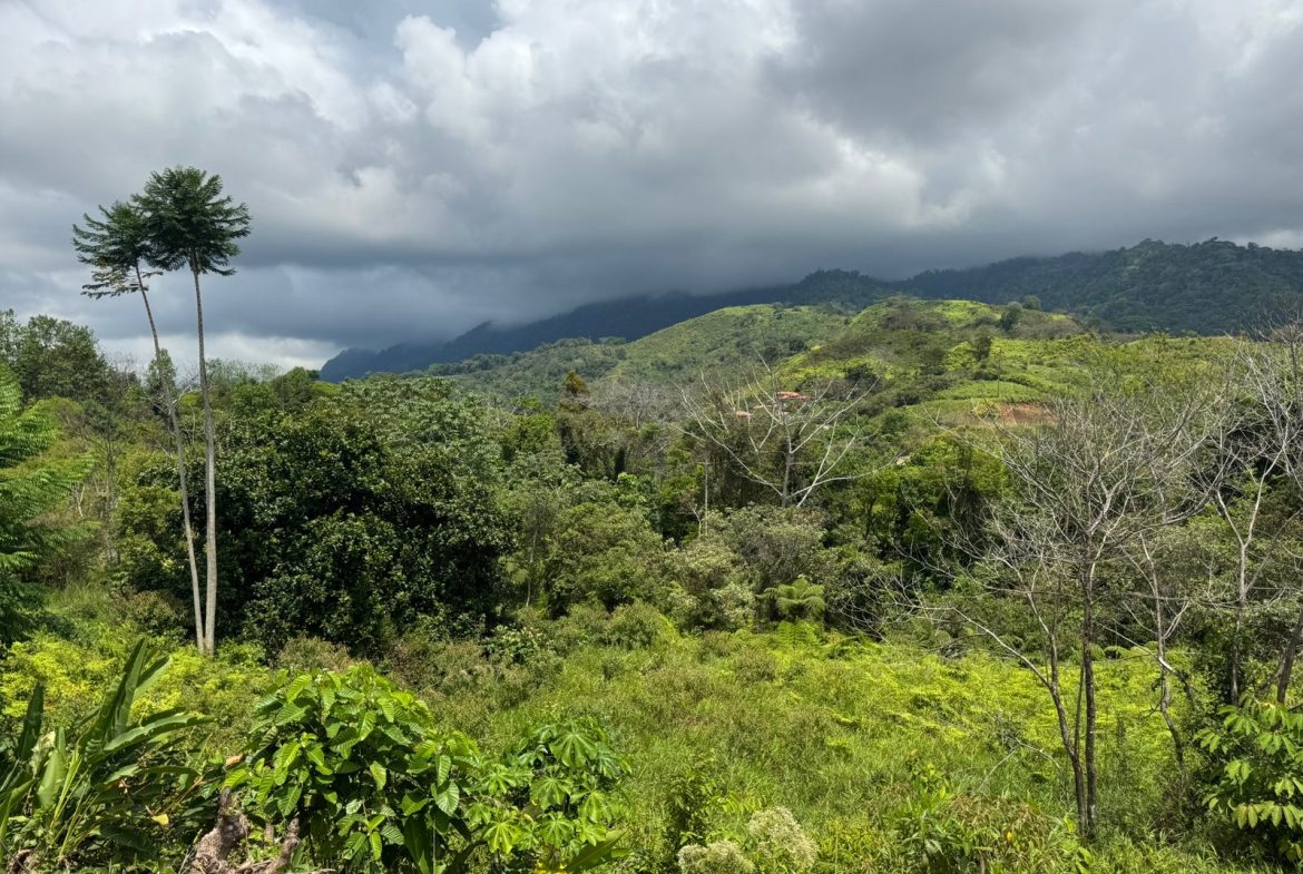 PROPERTY WITH MOUNTAIN VIEW, IN CHONTALES – 2.5 ACRES