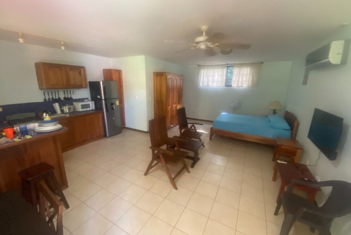 APARTMENTS IN OJOCHAL FOR SALE – 2.47 ACRES, Uvita, Costa Rica — photo 4