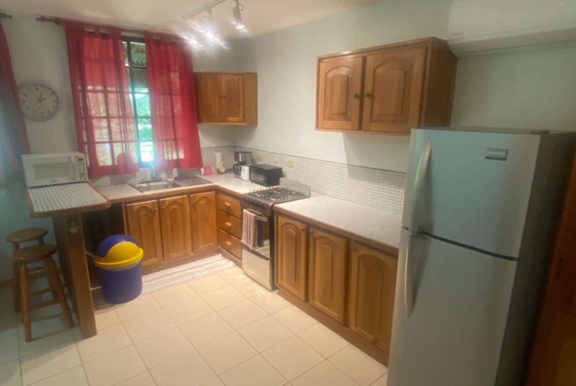 APARTMENTS IN OJOCHAL FOR SALE – 2.47 ACRES, Uvita, Costa Rica — photo 5
