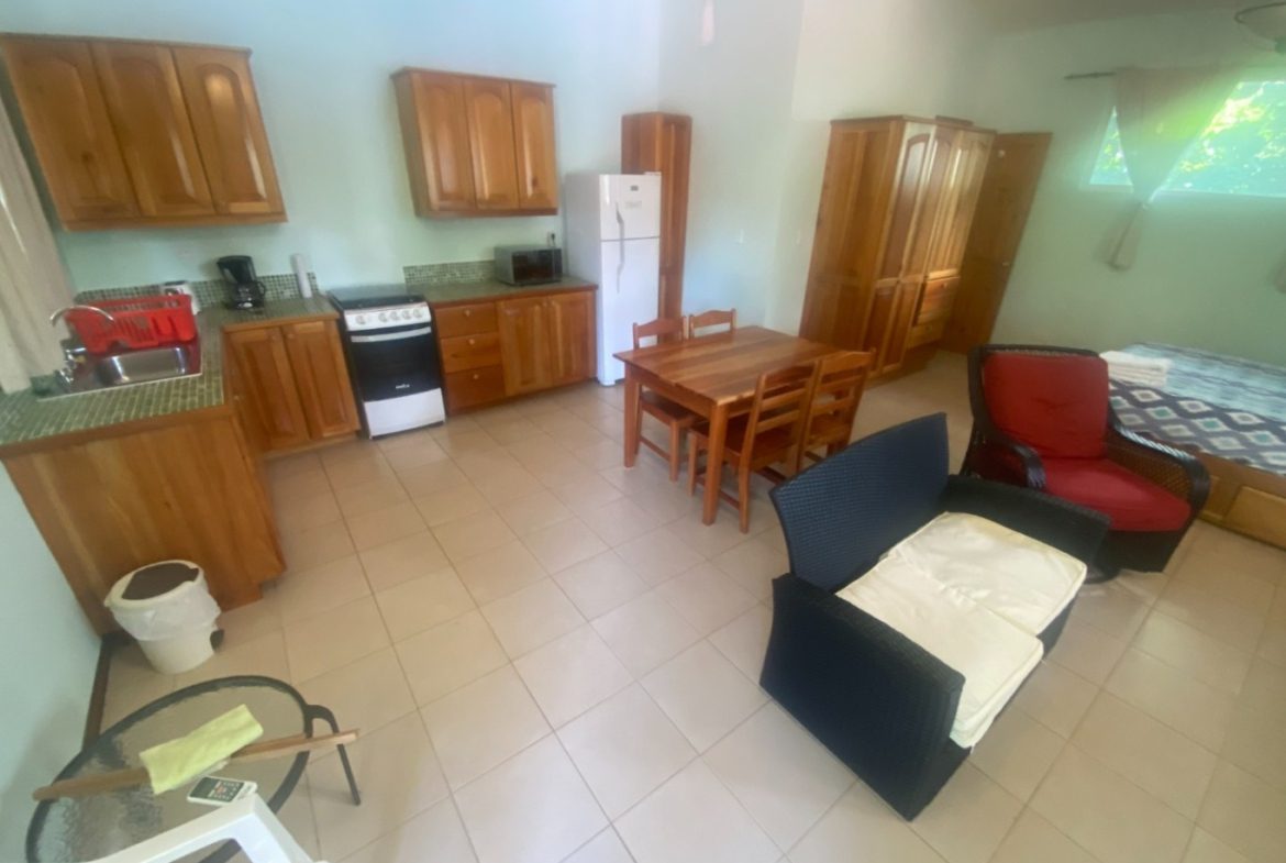 APARTMENTS IN OJOCHAL FOR SALE – 2.47 ACRES