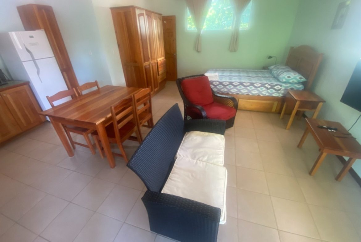 APARTMENTS IN OJOCHAL FOR SALE – 2.47 ACRES
