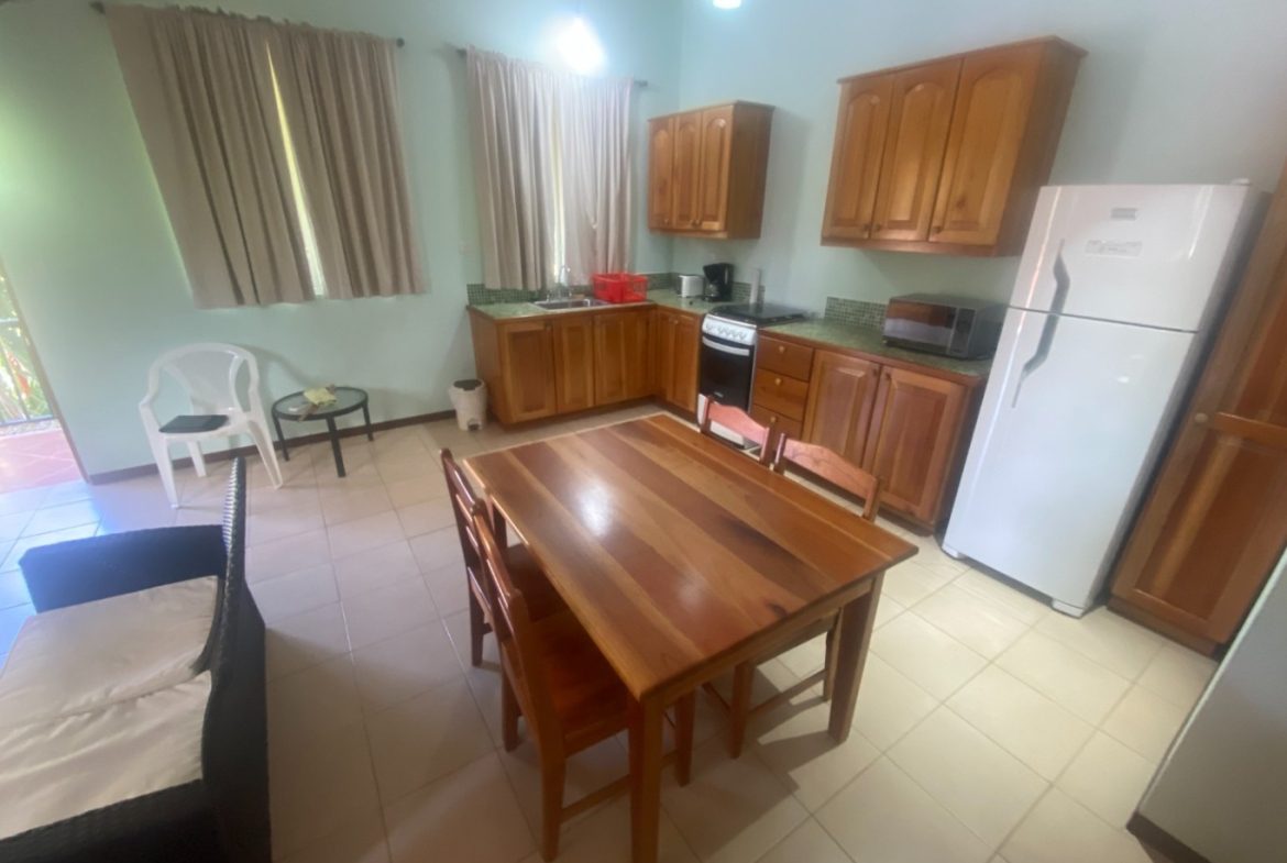 APARTMENTS IN OJOCHAL FOR SALE – 2.47 ACRES