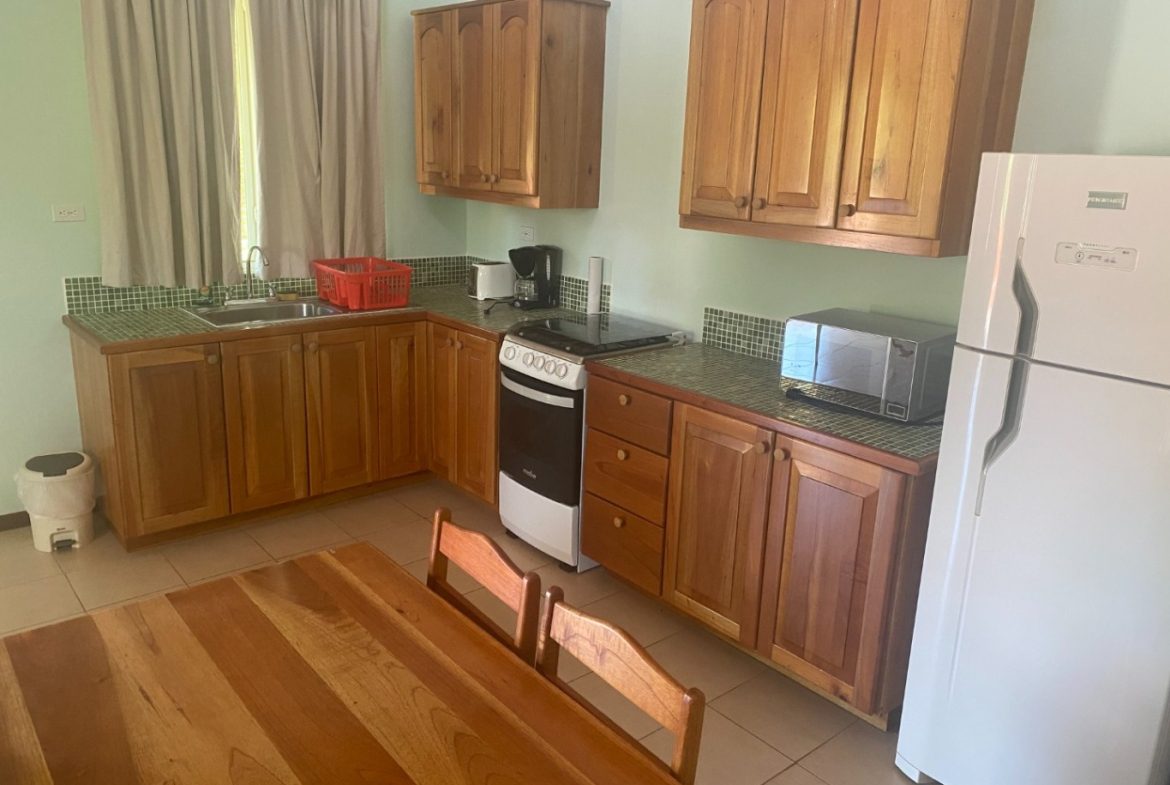APARTMENTS IN OJOCHAL FOR SALE – 2.47 ACRES