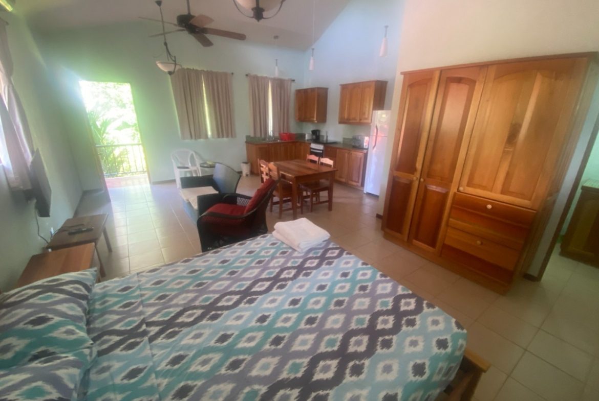 APARTMENTS IN OJOCHAL FOR SALE – 2.47 ACRES