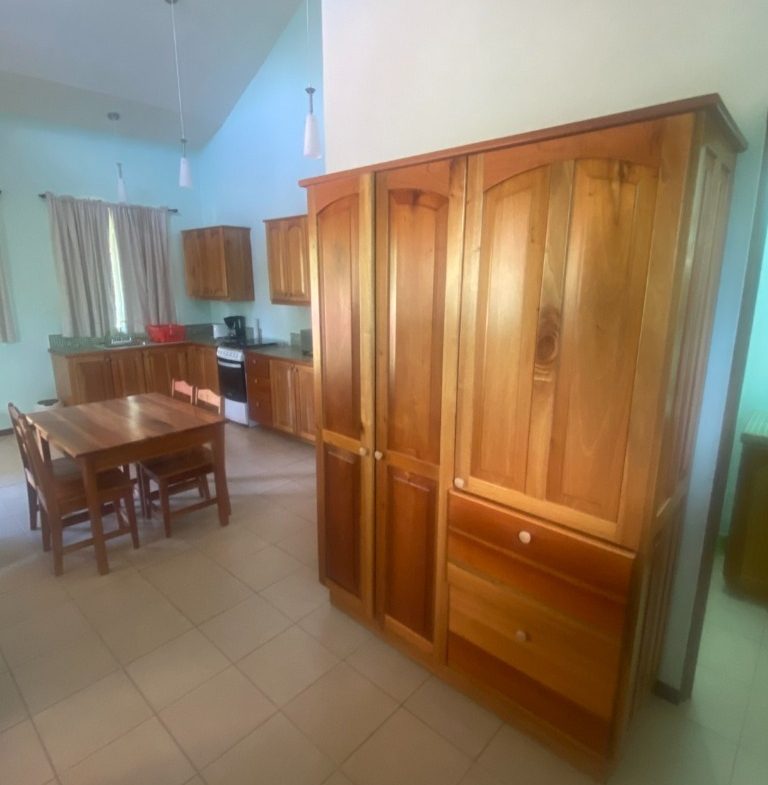 APARTMENTS IN OJOCHAL FOR SALE – 2.47 ACRES
