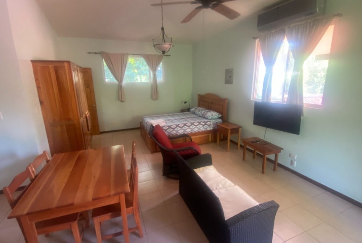 APARTMENTS IN OJOCHAL FOR SALE – 2.47 ACRES