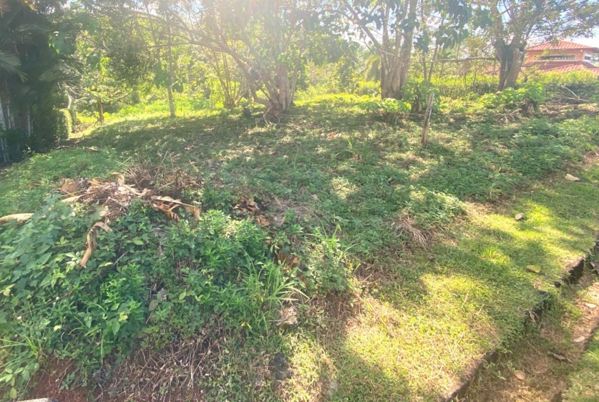 PROPERTY WITH OCEAN FRONT VIEWS, IN OJOCHAL – 0.31 ACRES