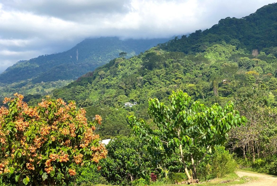 PROPERTY WITH OCEAN FRONT VIEWS, IN OJOCHAL – 0.31 ACRES