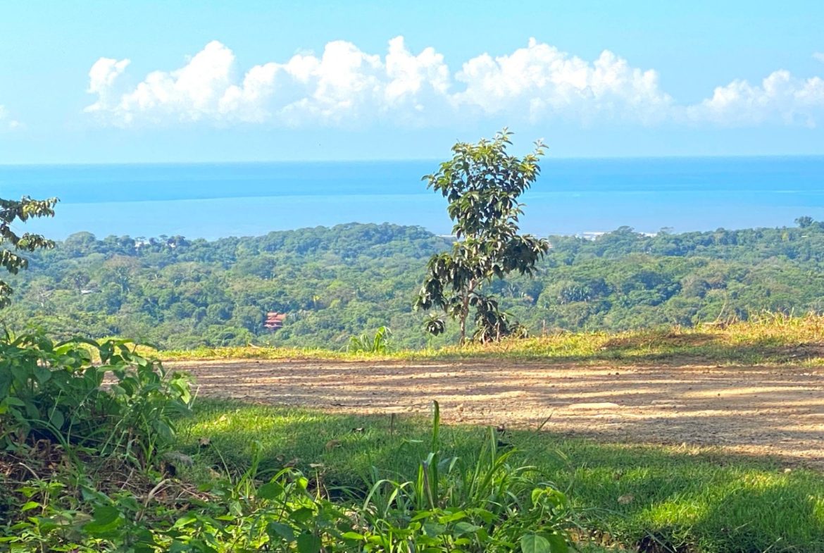 PROPERTY WITH OCEAN FRONT VIEWS, IN OJOCHAL – 0.31 ACRES