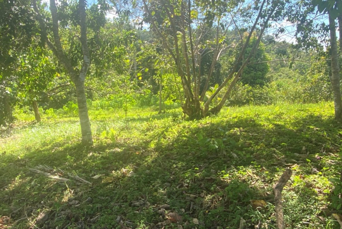 PROPERTY WITH OCEAN FRONT VIEWS, IN OJOCHAL – 0.31 ACRES