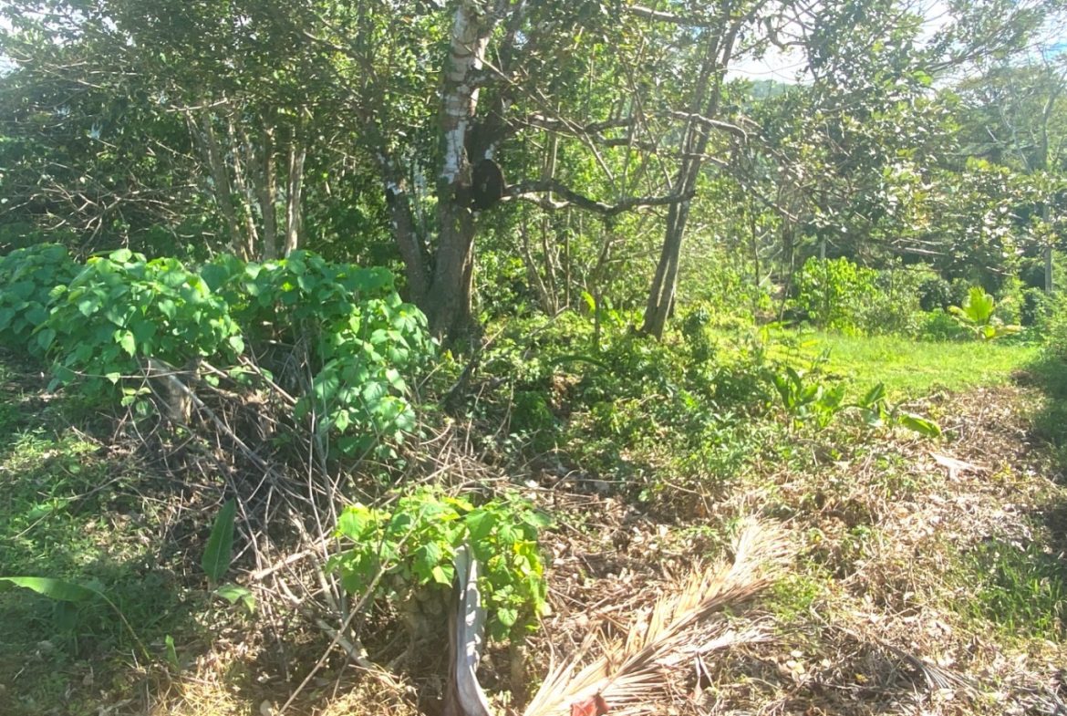 PROPERTY WITH OCEAN FRONT VIEWS, IN OJOCHAL – 0.31 ACRES